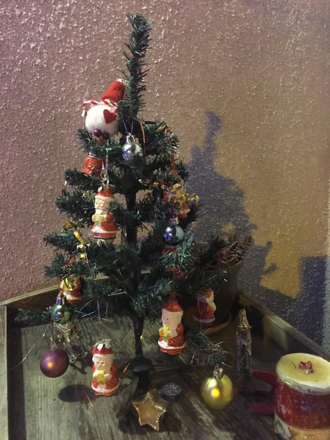 Апарт-отели Cozy Home in Old Tbilisi. Тбилиси-21