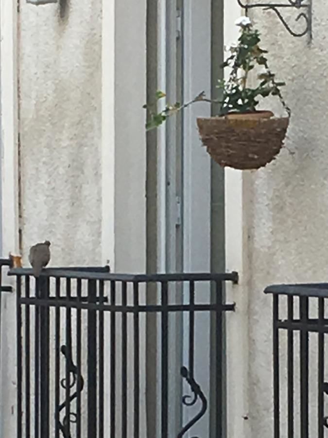 Апарт-отели Cozy Home in Old Tbilisi. Тбилиси-25