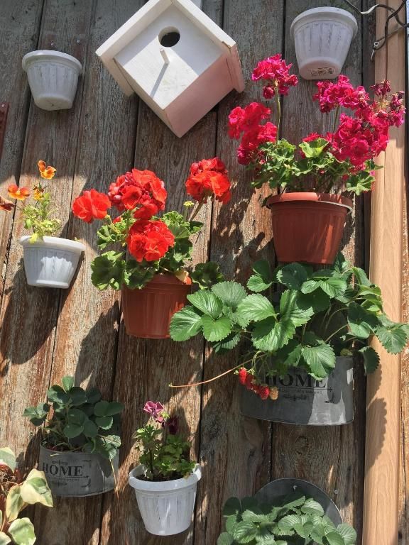 Апарт-отели Cozy Home in Old Tbilisi. Тбилиси-78