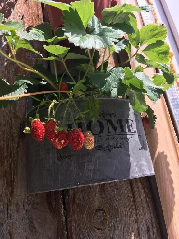 Апарт-отели Cozy Home in Old Tbilisi. Тбилиси-79