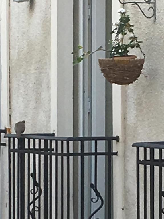 Апарт-отели Cozy Home in Old Tbilisi. Тбилиси-86